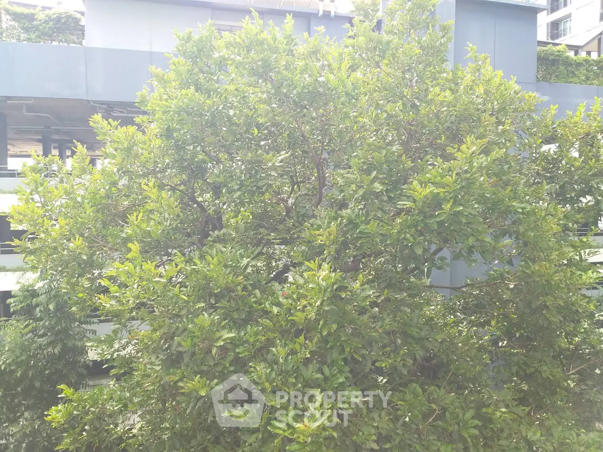 Lush greenery surrounding modern building exterior, offering serene urban living environment.