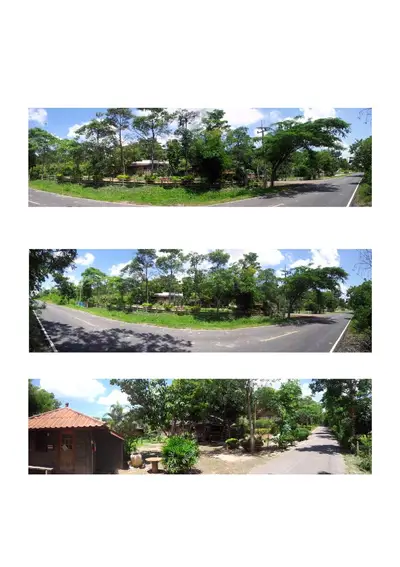 Scenic land plot with lush greenery and road access, ideal for development.