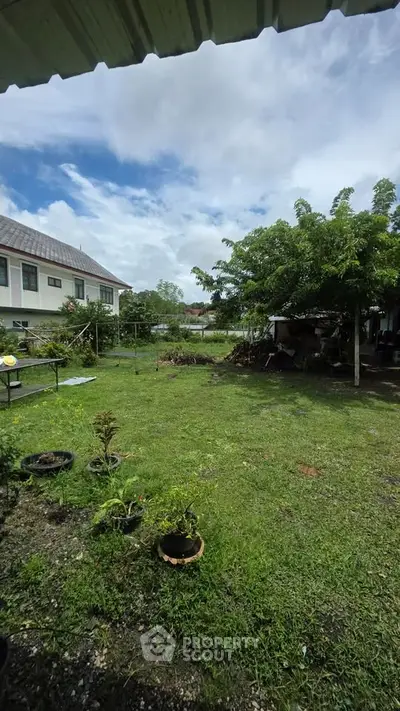Spacious backyard with lush greenery and a view of neighboring houses under a clear blue sky.