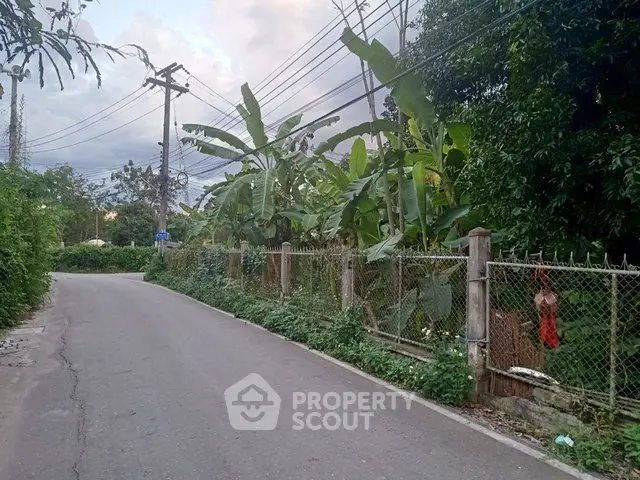 Charming suburban street with lush greenery and fenced garden, ideal for peaceful living.