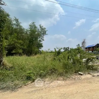 Spacious plot of land with lush greenery, perfect for development opportunities.