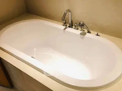 Luxurious bathroom with elegant bathtub and modern fixtures.