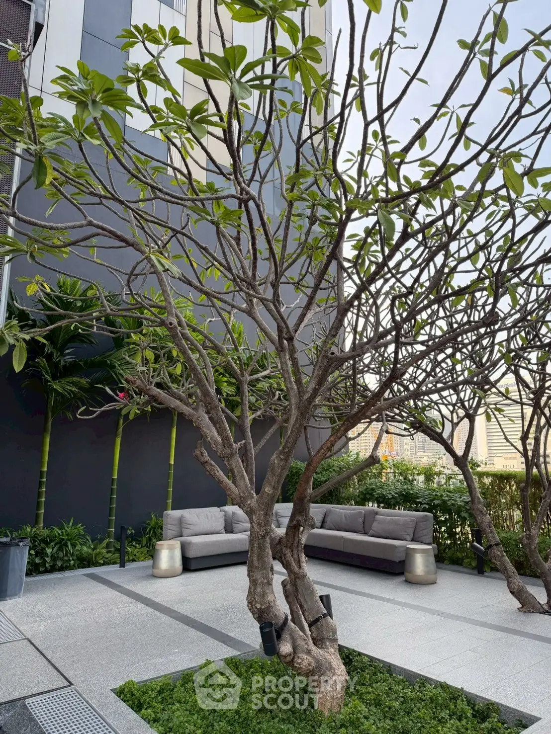 Modern garden with stylish seating and lush greenery in urban setting.