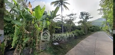 Scenic tropical road with lush greenery and mountain view