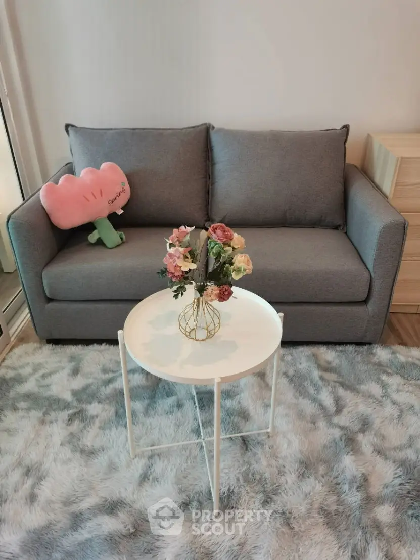 Cozy living room with stylish gray sofa and chic round table on plush rug