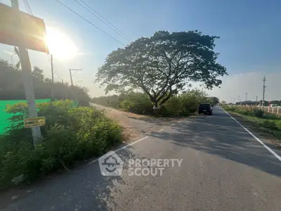 Scenic road with lush greenery and a large tree under a bright sky.