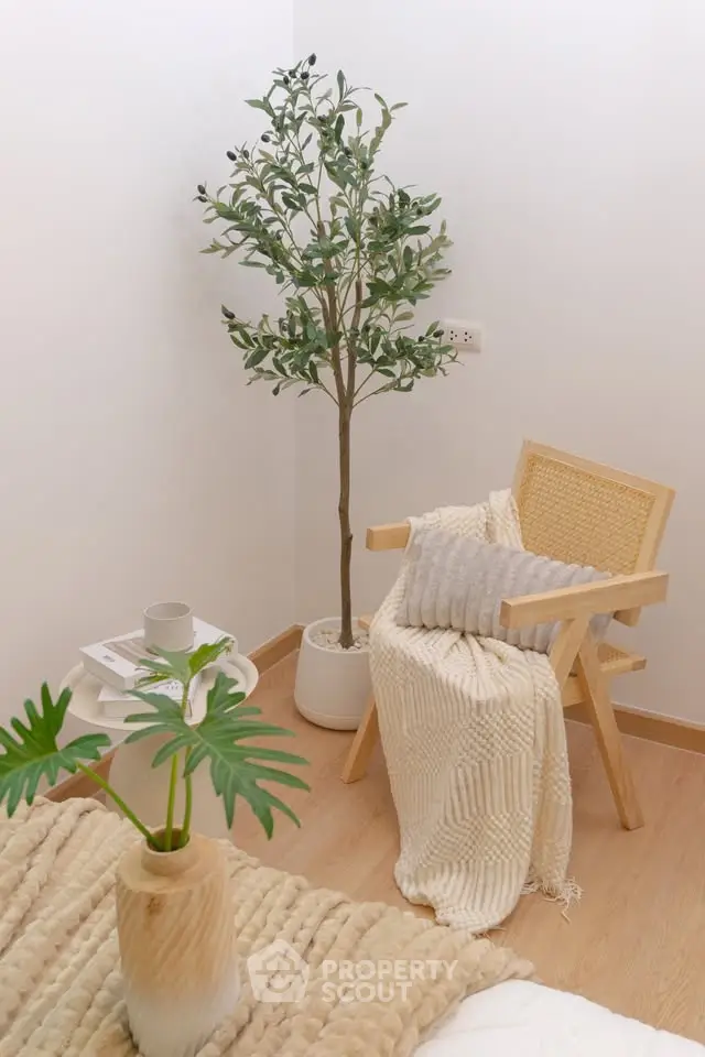 Cozy corner with stylish chair and indoor plant in modern home