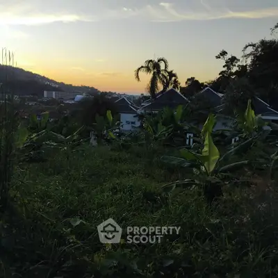 Scenic view of tropical garden with lush greenery and distant rooftops at sunset.