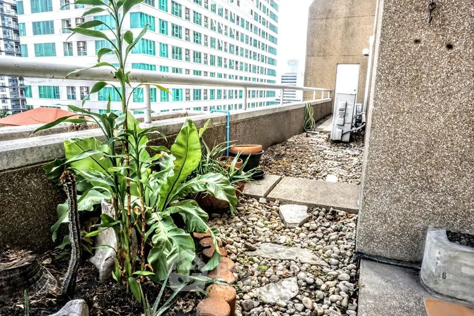 Urban rooftop garden with city view and modern design elements.