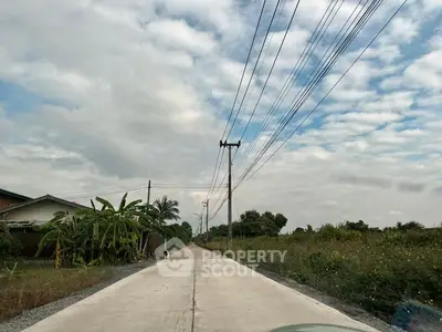 Scenic rural road with lush greenery and clear sky