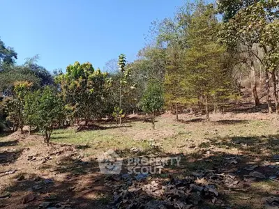 image_rental-19433723