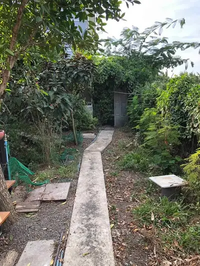 Charming garden pathway surrounded by lush greenery, perfect for nature lovers.