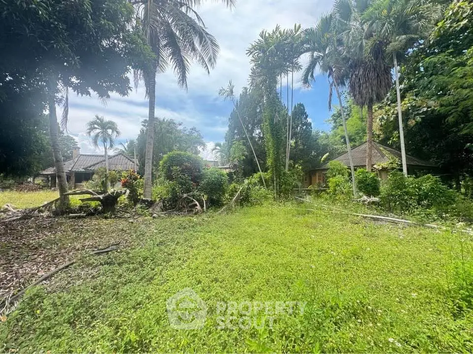 Lush tropical garden with palm trees and traditional houses, perfect for serene living.