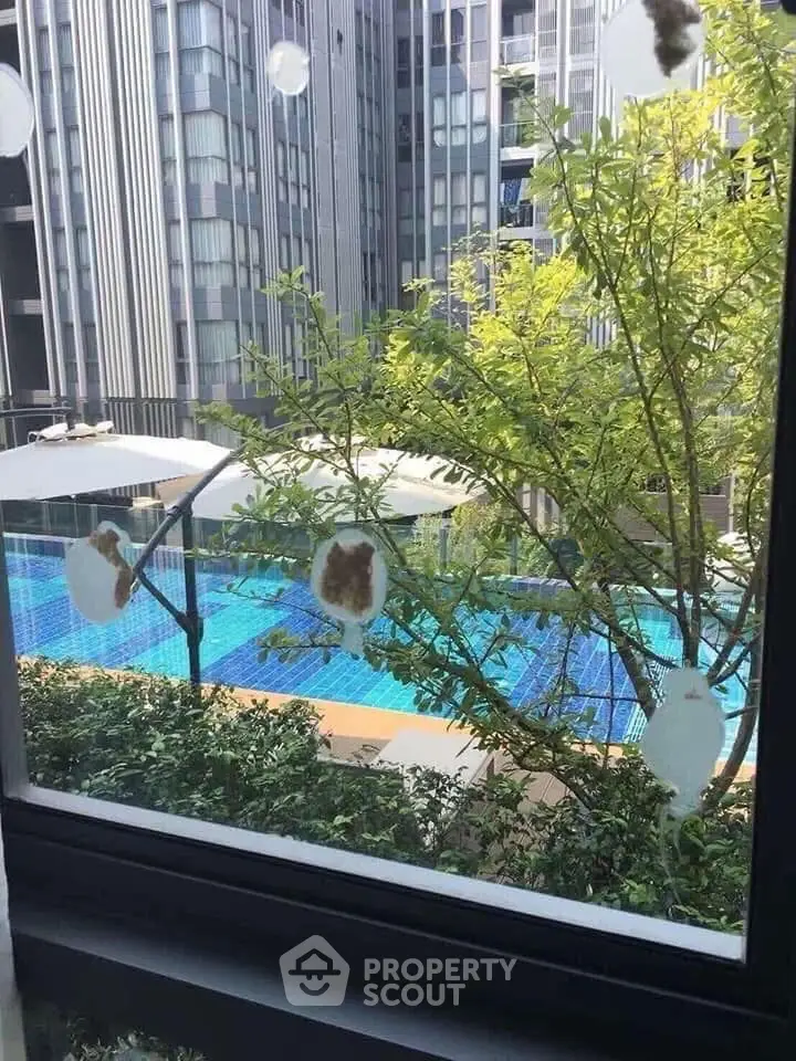 Luxurious poolside view from modern apartment window with lush greenery.
