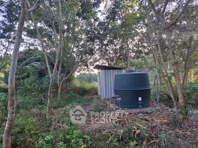 Rural property with water tank and shed surrounded by lush greenery and trees.