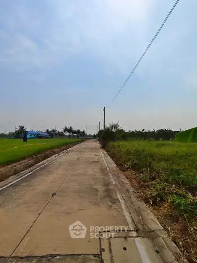 Expansive rural road with lush greenery and clear skies, ideal for serene countryside living.