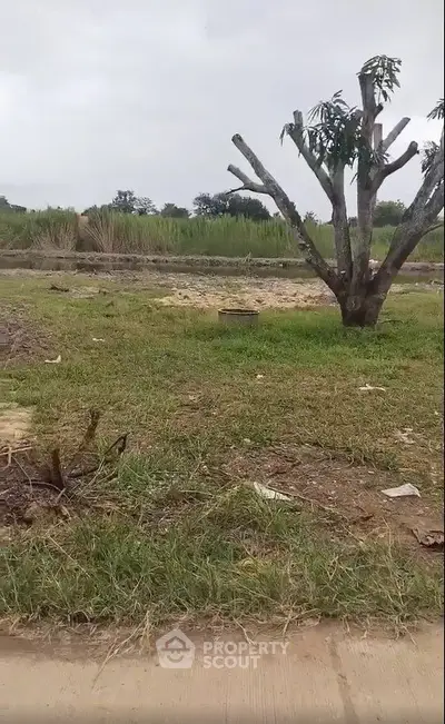 image_rental-29836446