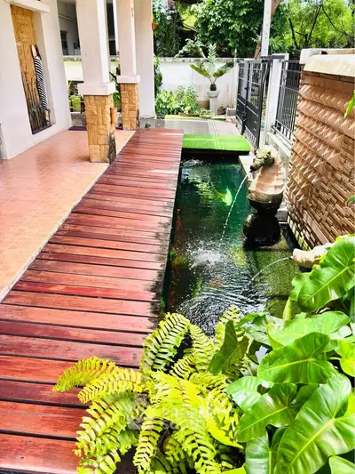 Charming garden with wooden walkway and koi pond in serene residential setting.
