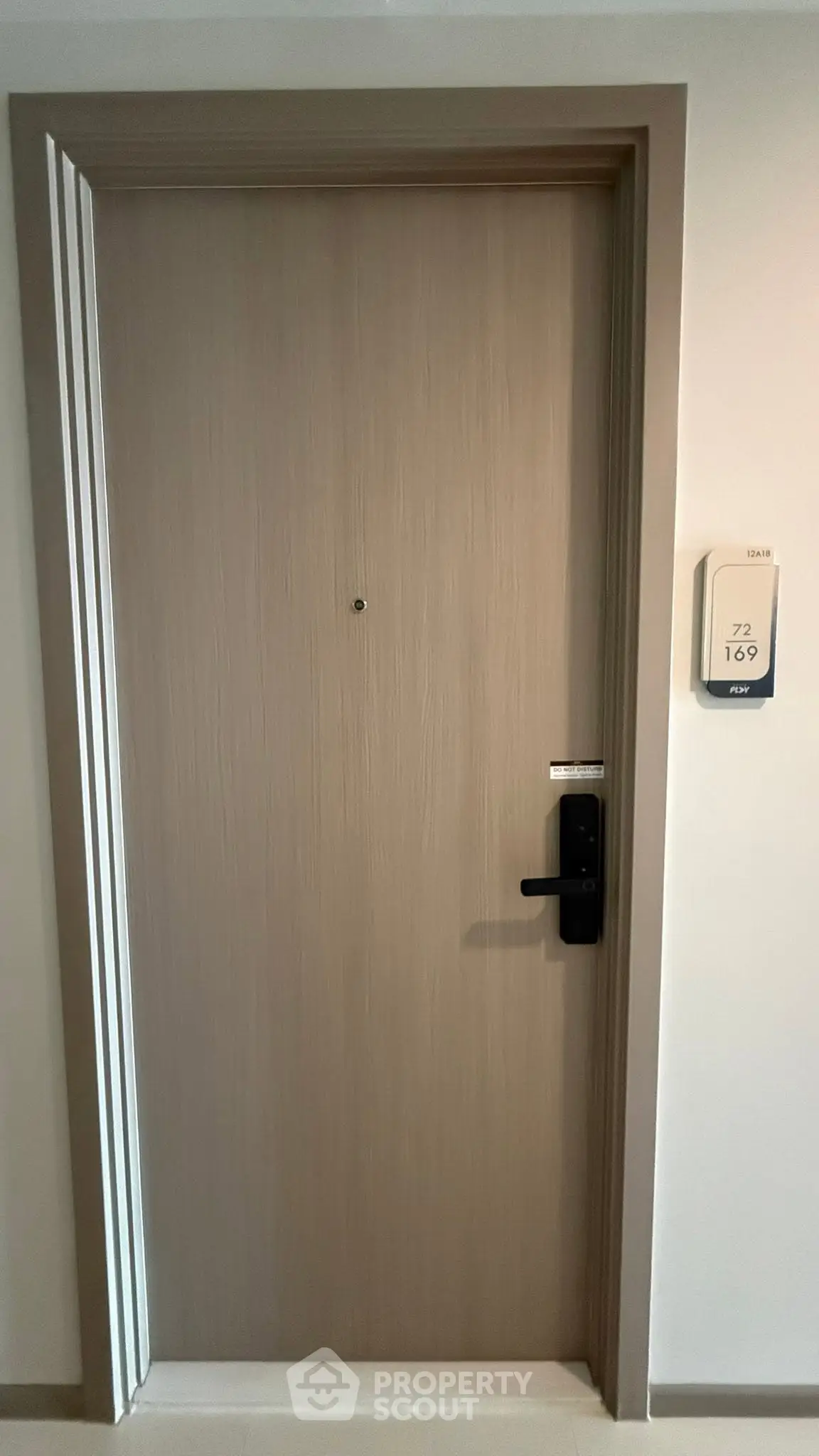 Modern apartment entrance door with sleek design and secure lock system.