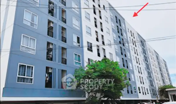 image_rental-30635913