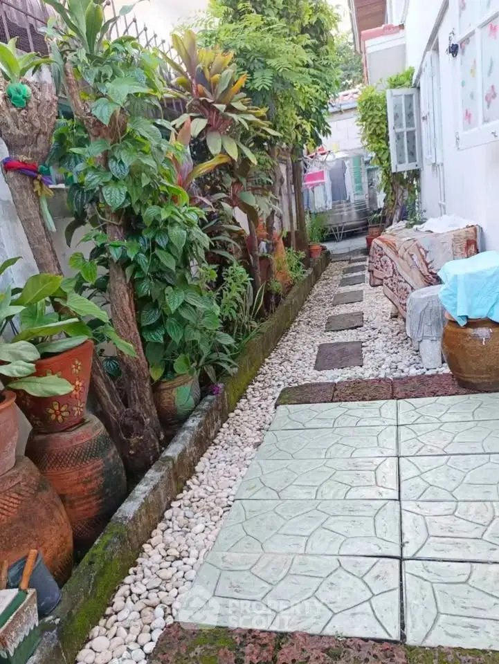 Charming garden pathway with lush greenery and decorative pots in a cozy residential setting.