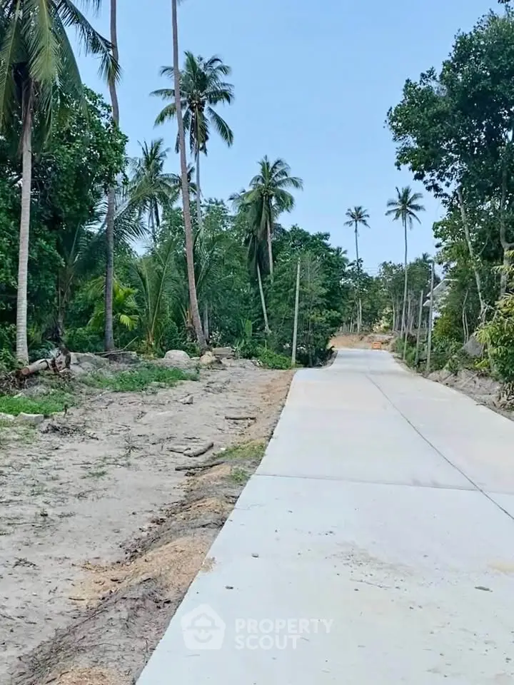 Scenic rural road surrounded by lush greenery and tall palm trees, perfect for tranquil living.