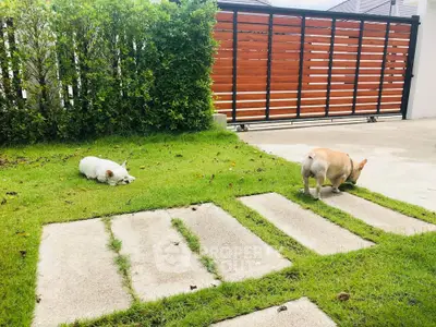Charming garden with lush greenery and modern wooden fence, perfect for pet-friendly homes.