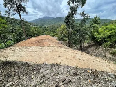 image_rental-29133781