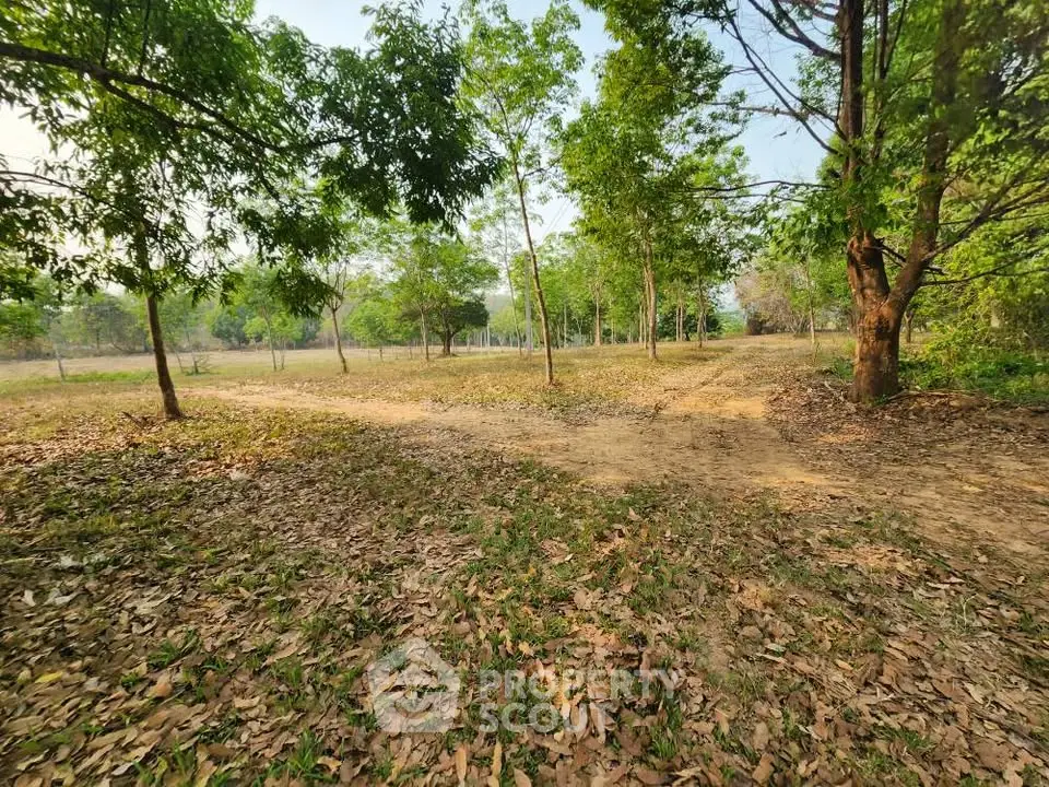 Expansive plot of land with lush greenery and mature trees, perfect for development or a private retreat.