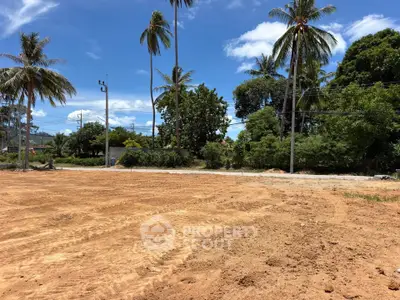 Spacious land plot with tropical palm trees, ideal for development in a serene environment.