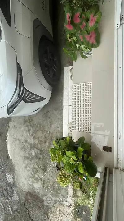 Charming outdoor view with lush greenery and parked car in a residential setting.