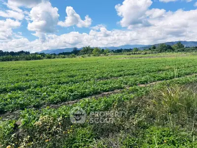 Expansive agricultural land with lush greenery and scenic mountain views under a bright blue sky.