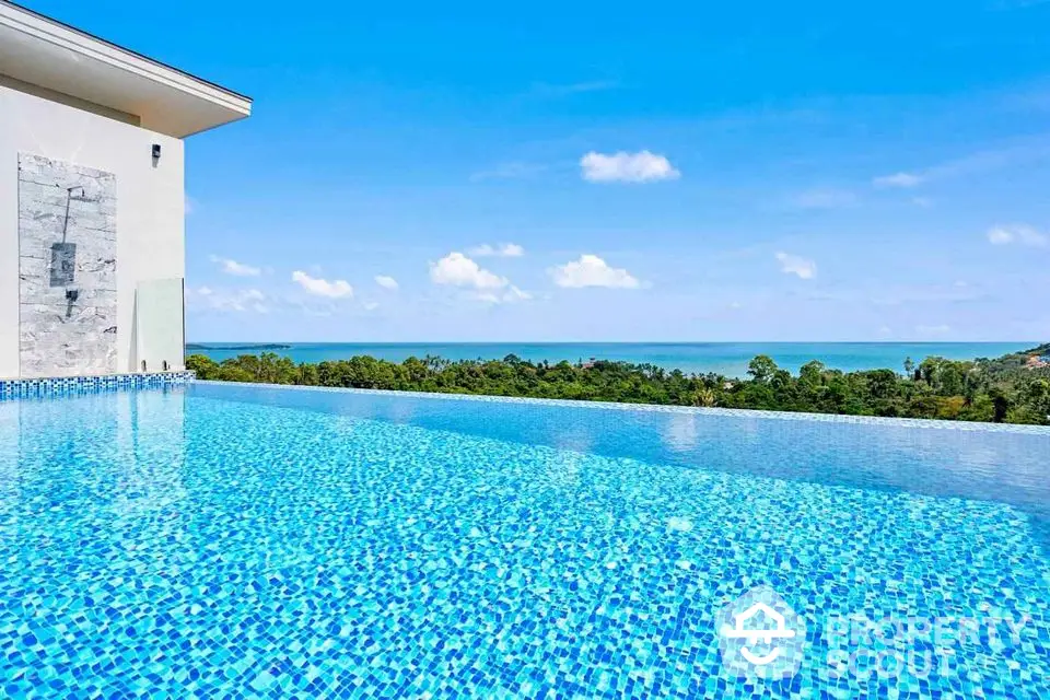 Stunning infinity pool with breathtaking ocean view in luxury property