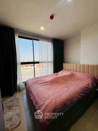 image_rental-30187580