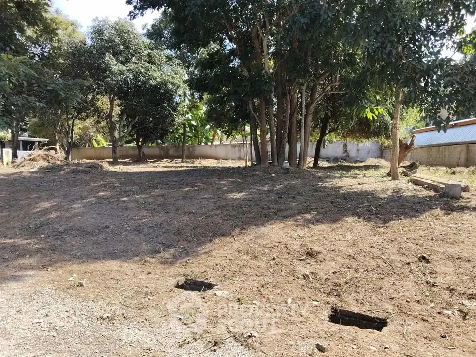 Spacious vacant land with mature trees, ideal for development or investment opportunities.