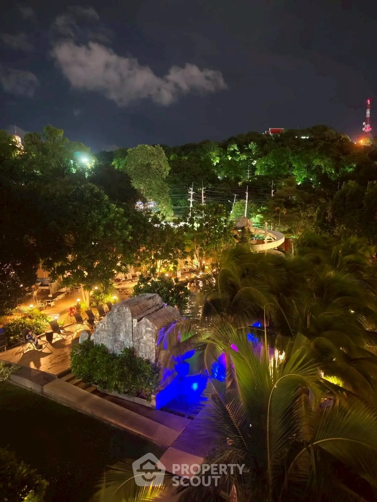 Stunning night view of a lush garden with ambient lighting and tropical foliage.