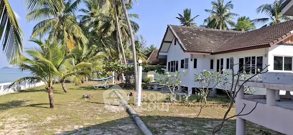 image_rental-29728449