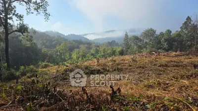 image_rental-29223335