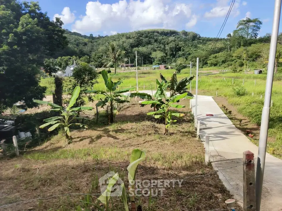 Scenic view of lush green land with banana trees and a paved pathway, ideal for development.