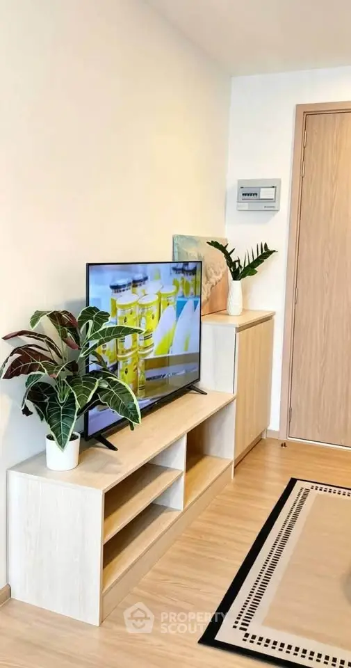 Modern living room with stylish TV stand and indoor plants, showcasing a cozy and inviting atmosphere.