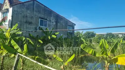 Charming rustic house with lush garden and banana trees, perfect for nature lovers seeking tranquility.