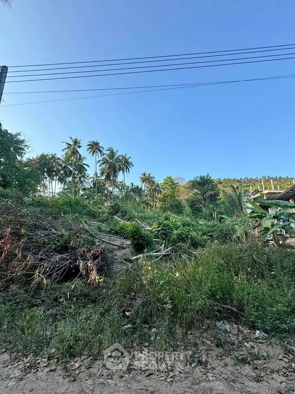 image_rental-17136740