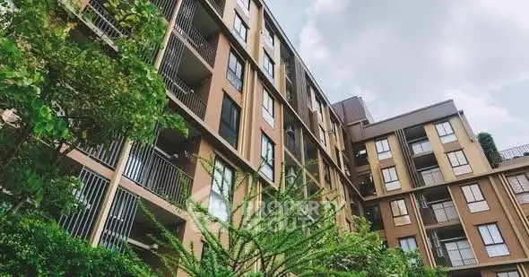 image_rental-31351766