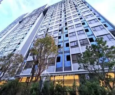 image_rental-30169027