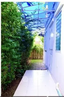Charming garden pathway with lush greenery and tiled walkway