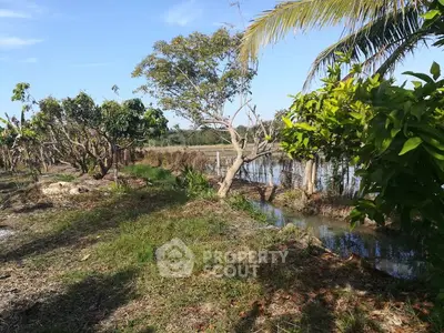 Lush garden landscape with tropical trees and serene water feature