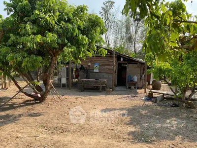 Rustic wooden cabin surrounded by lush greenery and trees, offering a serene countryside retreat.