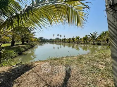 Scenic view of a tranquil pond surrounded by lush palm trees under a clear blue sky.