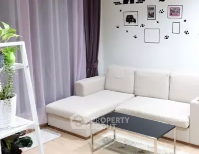 image_rental-29074368