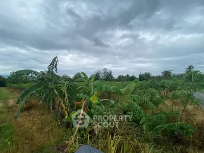 Expansive land with lush greenery under a cloudy sky, ideal for development opportunities.